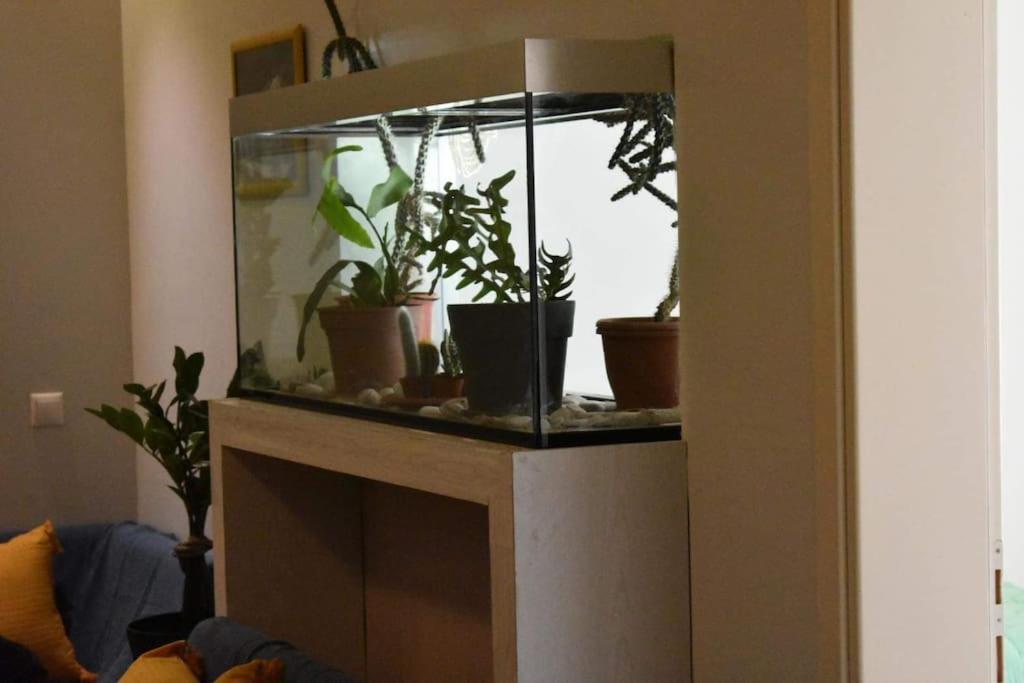 אתונה Central Apartment מראה חיצוני תמונה